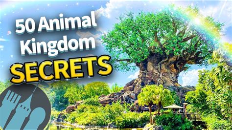 animal kingdom snapchat